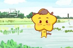2021年生肖马命运最好吗 今年会走运吗