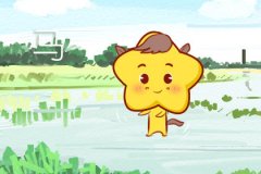 属马男想要分手会用什么办法