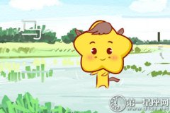 2018年十二月属马财运预报