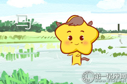 属马 属马
