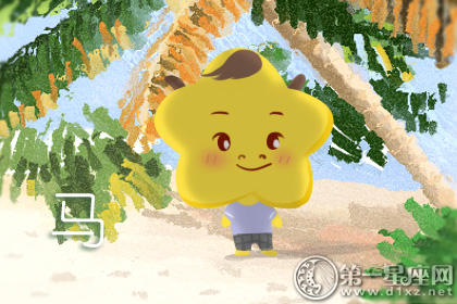 属马 属马