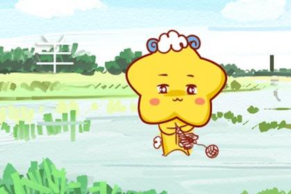 属羊 属羊