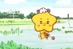 属羊生鼠宝宝好吗 合适吗 好不好