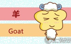 属羊在感情中的付出