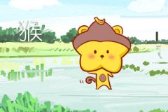 属猴最忌讳的婚配属相分析
