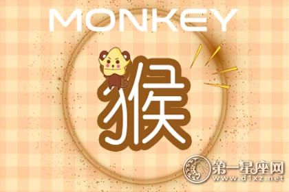 猴 猴