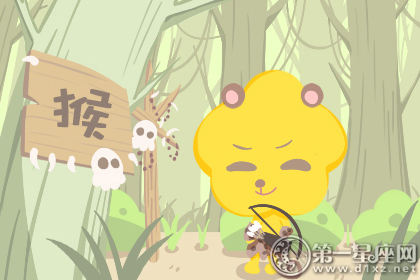 猴 猴