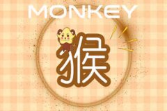 属猴为什么让旧爱无法忘怀