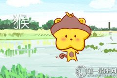 属猴男生做什么事会让女生好感爆棚