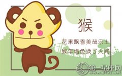 属猴的表达能力有多强