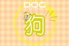 属狗为什么让旧爱无法忘怀
