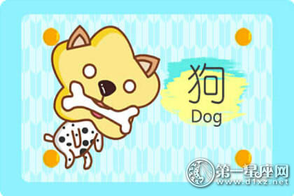 狗 狗