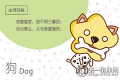 2019年猪年属狗的属相婚配表