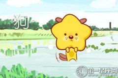 属狗认为一段好的友谊是什么样的