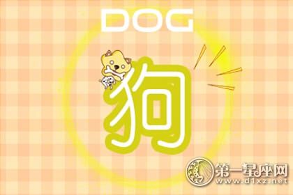狗 狗