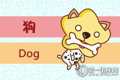 狗 狗