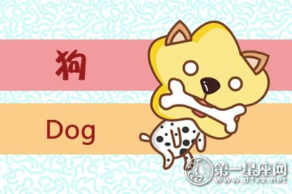 狗 狗