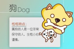 失败的爱情教会了属狗哪些道理