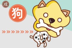 属狗男生恋爱中的心理