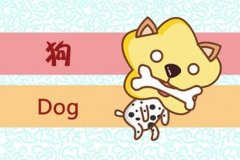 2024年狗的运势怎么样