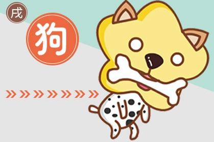 属狗 属狗