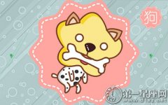 如何让属狗女票过一个终身难忘的生日