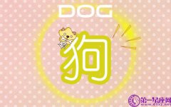 如何安慰失去亲人的属狗人